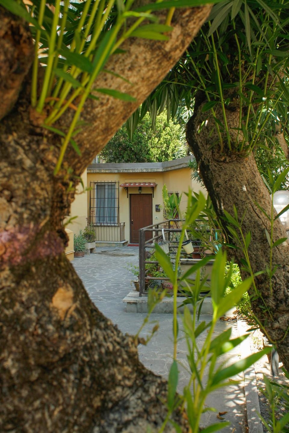 Garden view