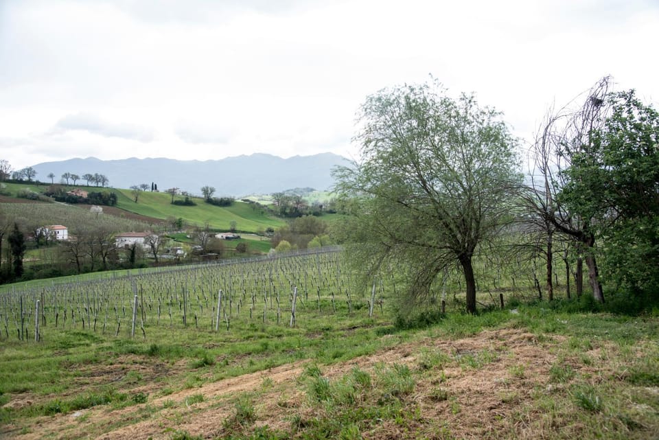 Natural landscape