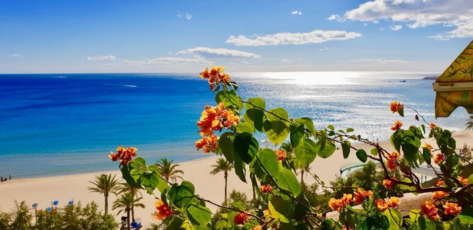 Sea view