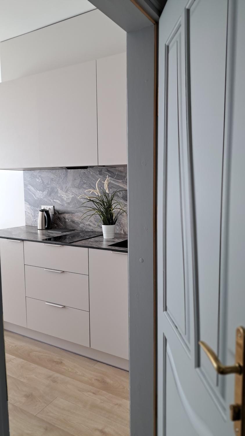 Kitchen or kitchenette, stove, kitchen