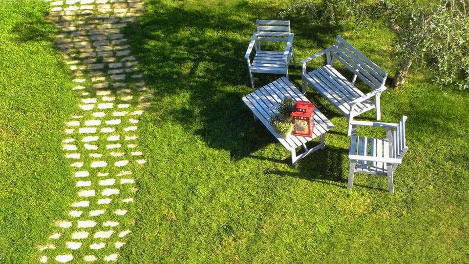 Bird's eye view, Garden, View (from property/room), Other, Decorative detail, On site, Garden view, Garden view