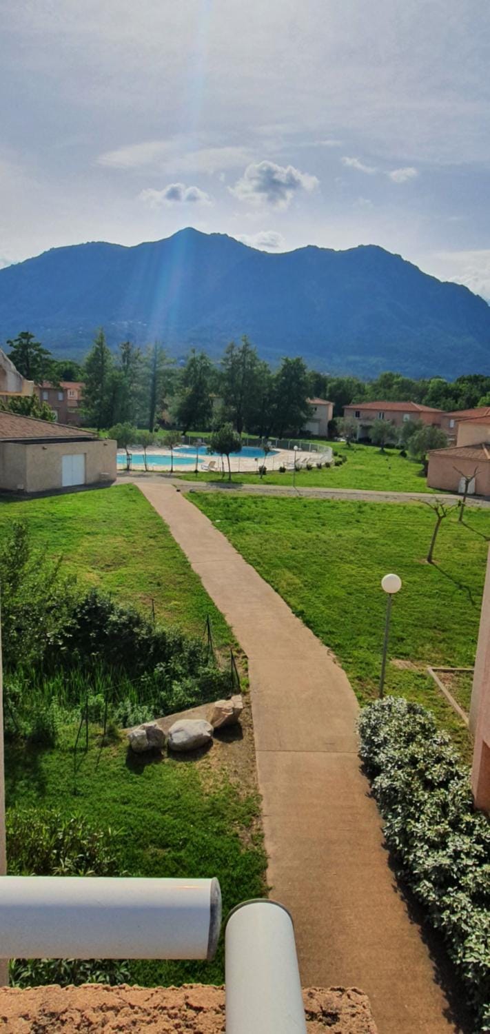 Garden view