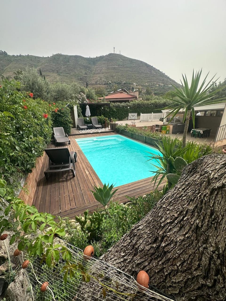 Garden, Swimming pool, Swimming pool