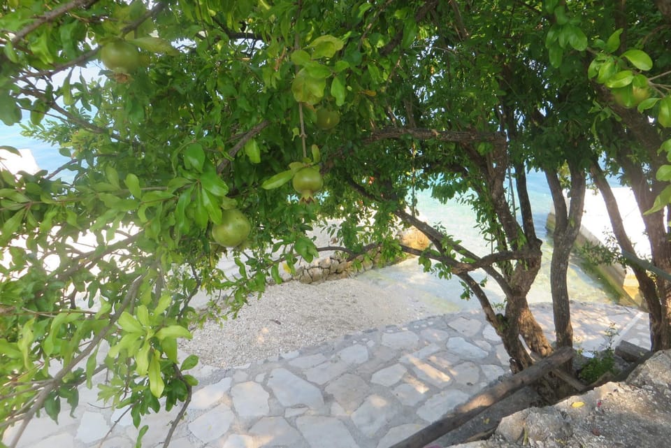 Day, Summer, Beach, On site