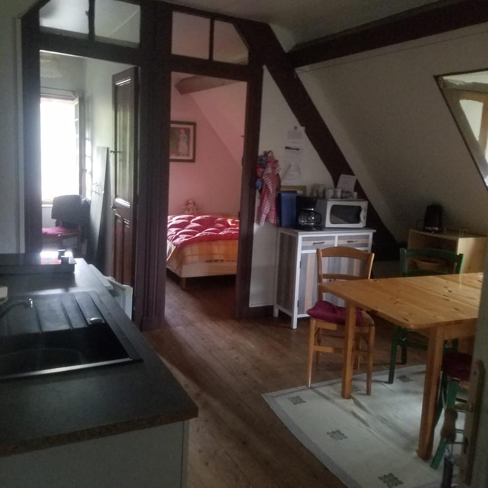 Kitchen or kitchenette, Photo of the whole room, Seating area, Dining area, Bedroom