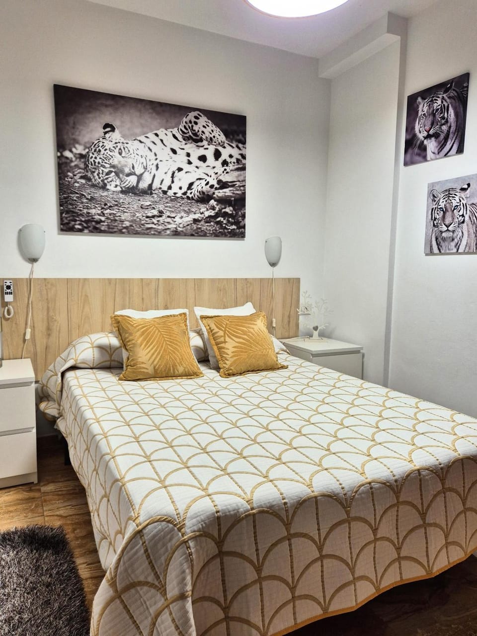 Bed, Photo of the whole room, Bedroom