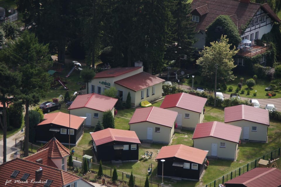 Bird's eye view, Garden, On site