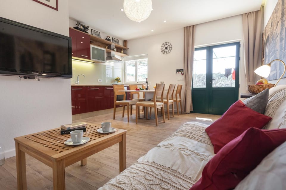 TV and multimedia, Kitchen or kitchenette, Living room, Photo of the whole room, Decorative detail, Seating area, Dining area