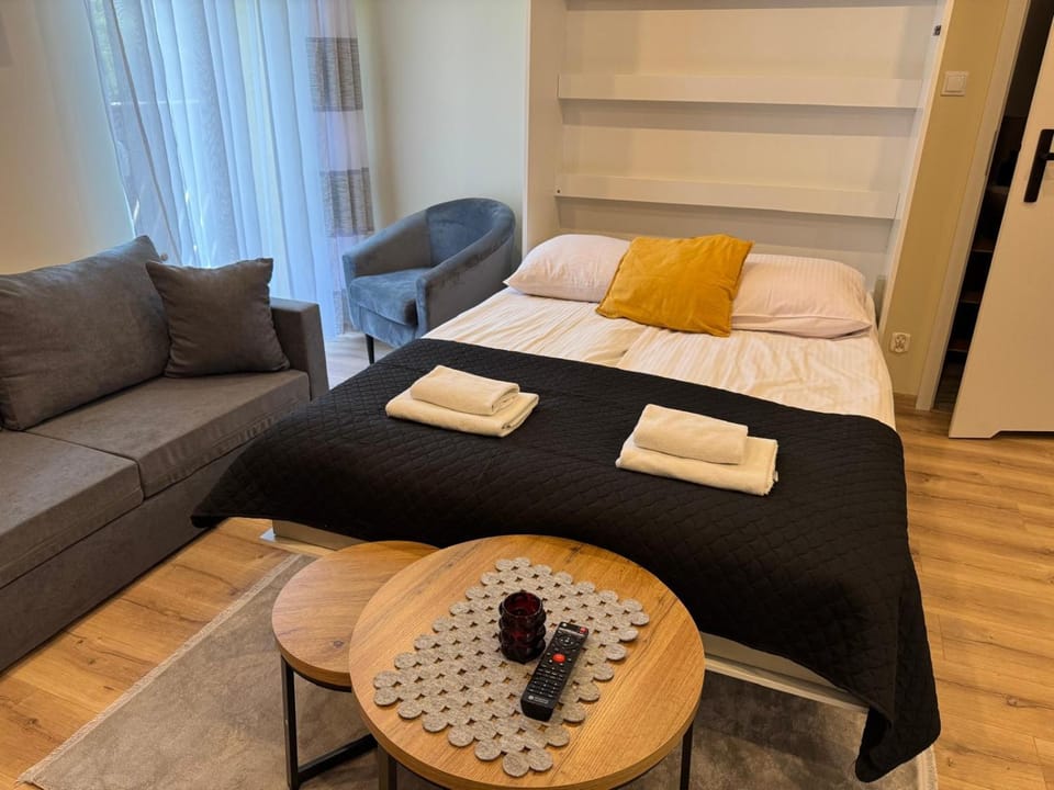 Bed, Living room, Photo of the whole room, Seating area, Bedroom, towels