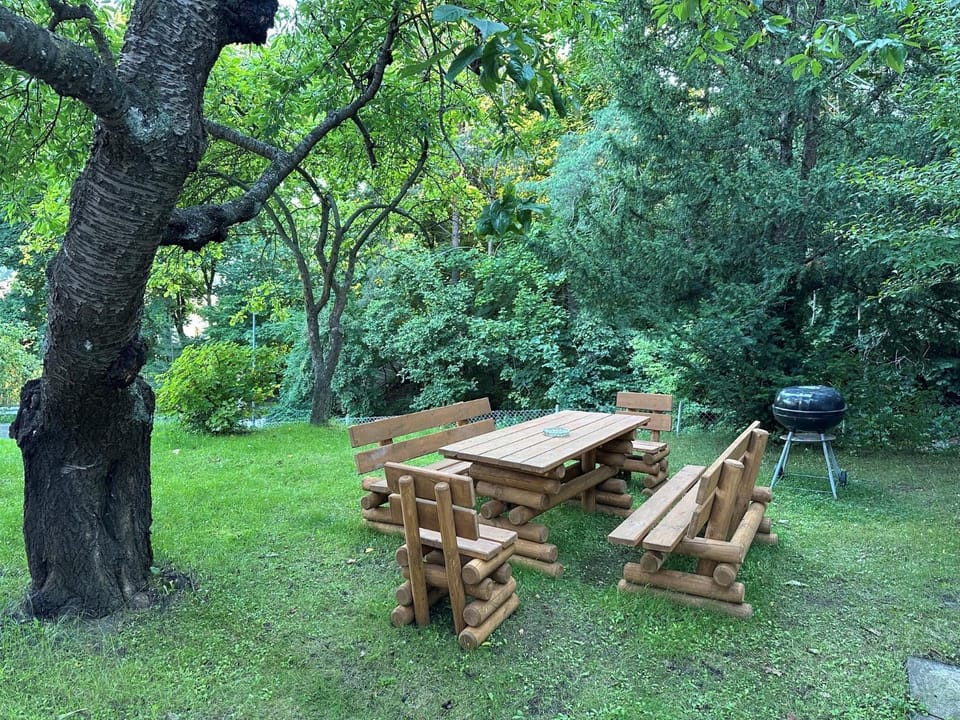 BBQ facilities, Garden