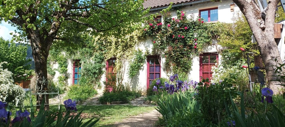 Property building, Garden view
