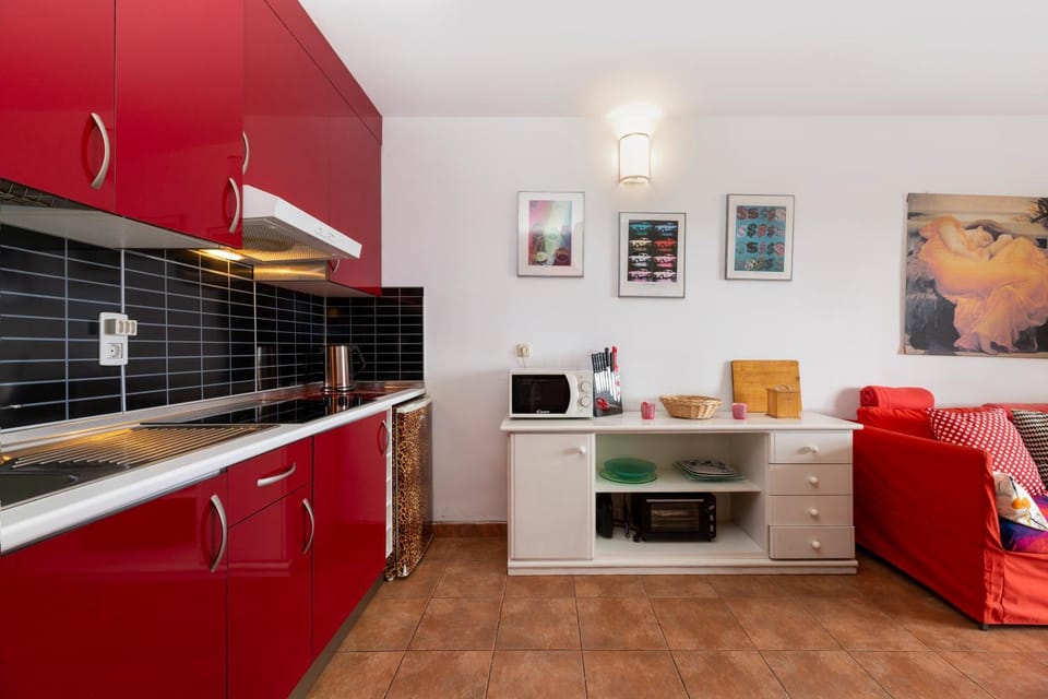 Kitchen or kitchenette, minibar, pet friendly, stove