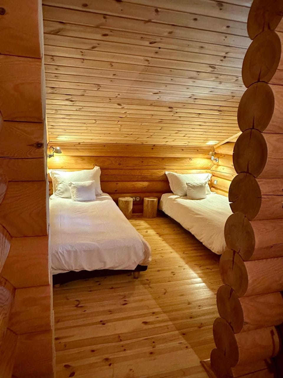 Chalet Ana & SPA Apartment hotel in Occitanie