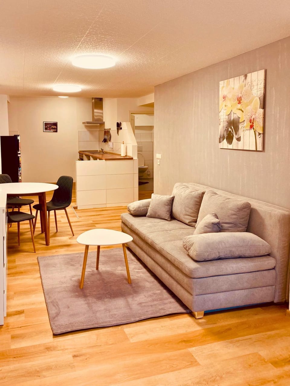 TV and multimedia, Kitchen or kitchenette, Living room, Photo of the whole room, Seating area, Dining area