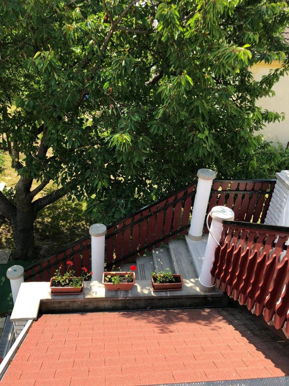 Garden view
