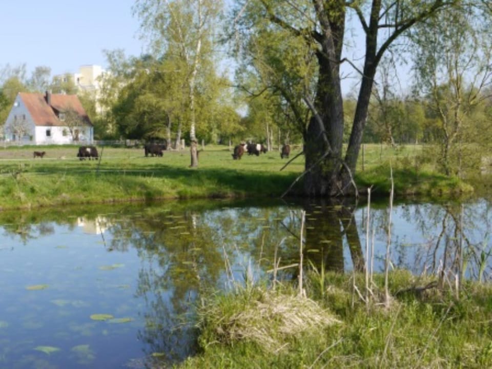 Day, Natural landscape, River view