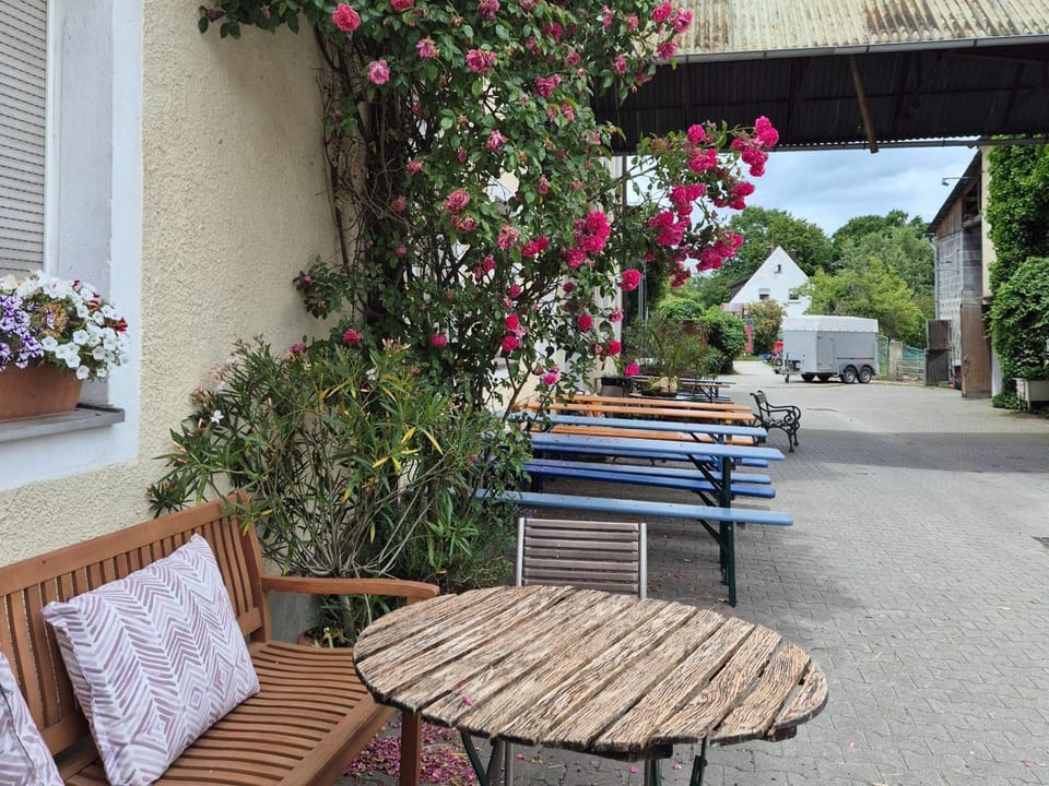 Patio, Seating area
