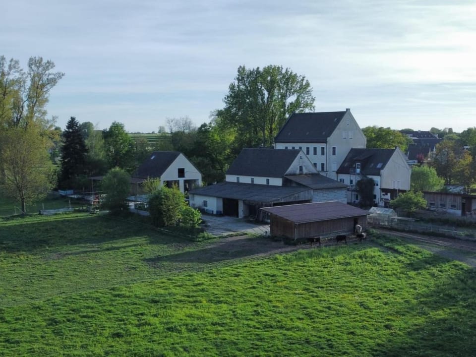 Property building, Day, Garden, Garden view