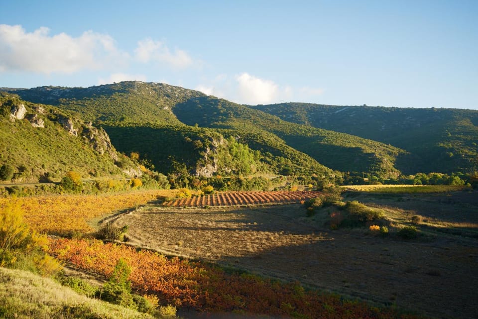 Natural landscape