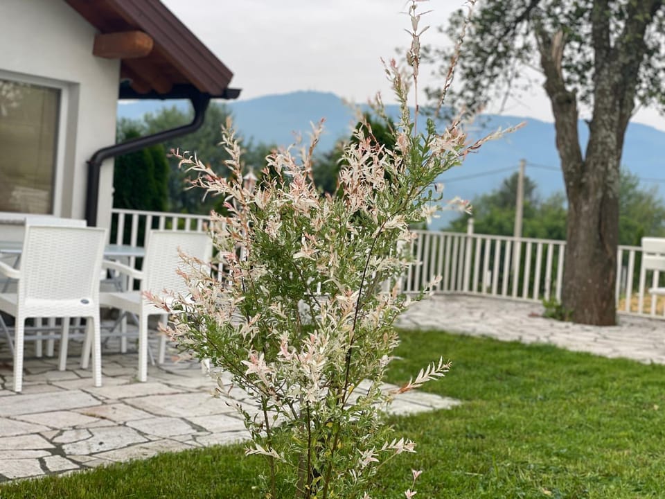 Day, Natural landscape, Garden, Mountain view
