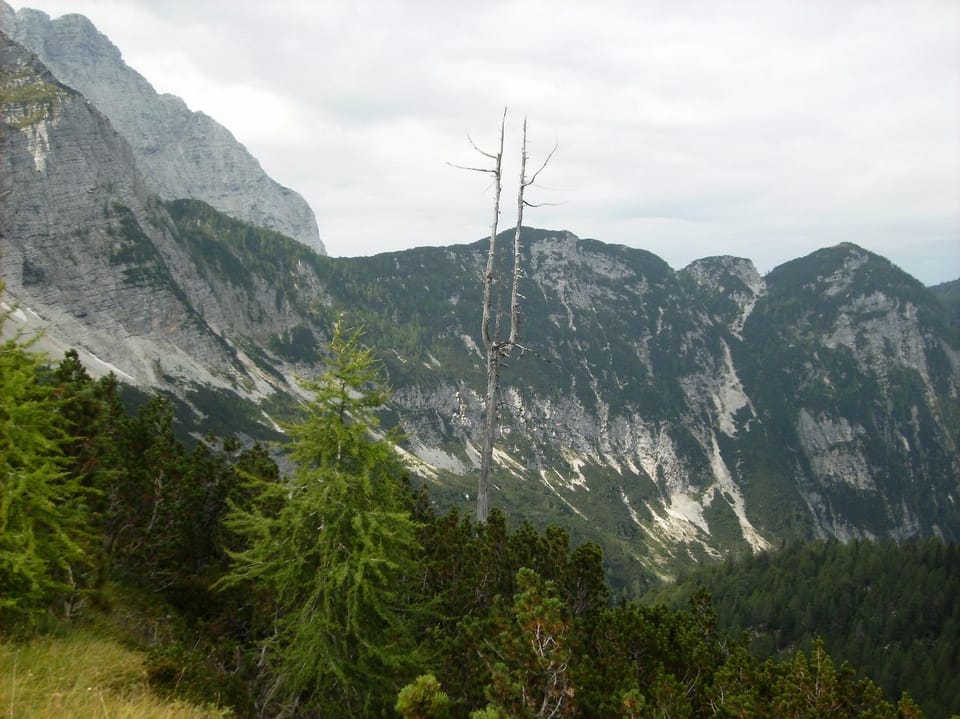 Natural landscape