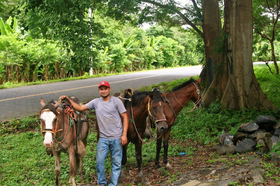 Horse-riding, Horse-riding