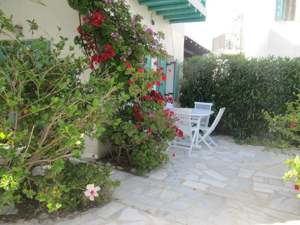 Patio, Garden