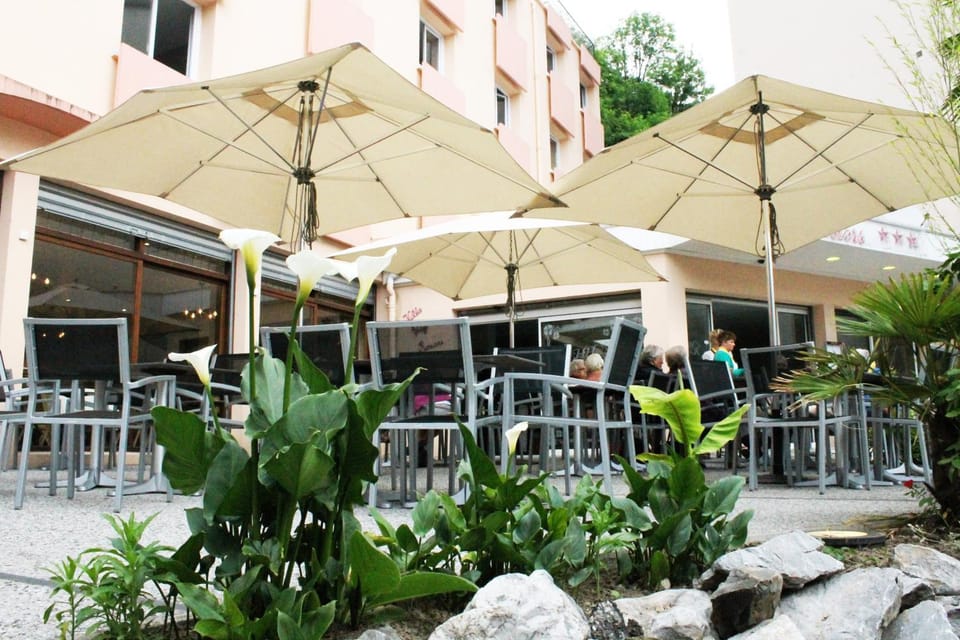 Hôtel des Rosiers Hotel in Lourdes