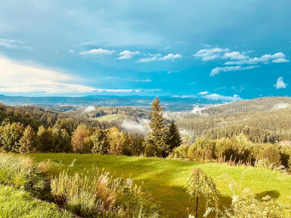Garden, Mountain view