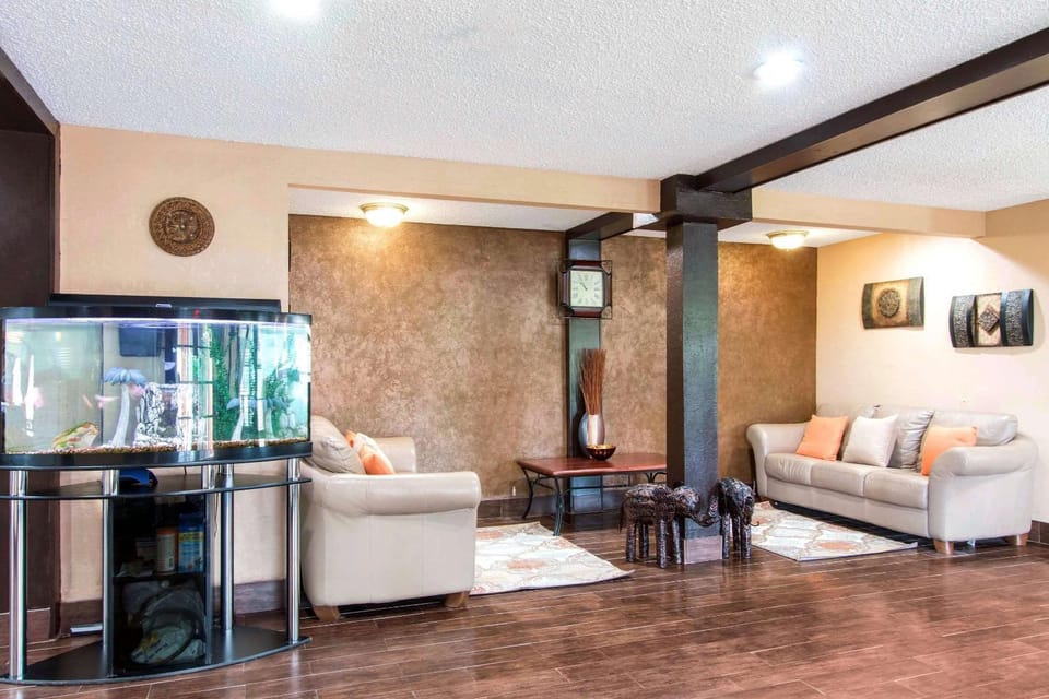 Lobby or reception, On site