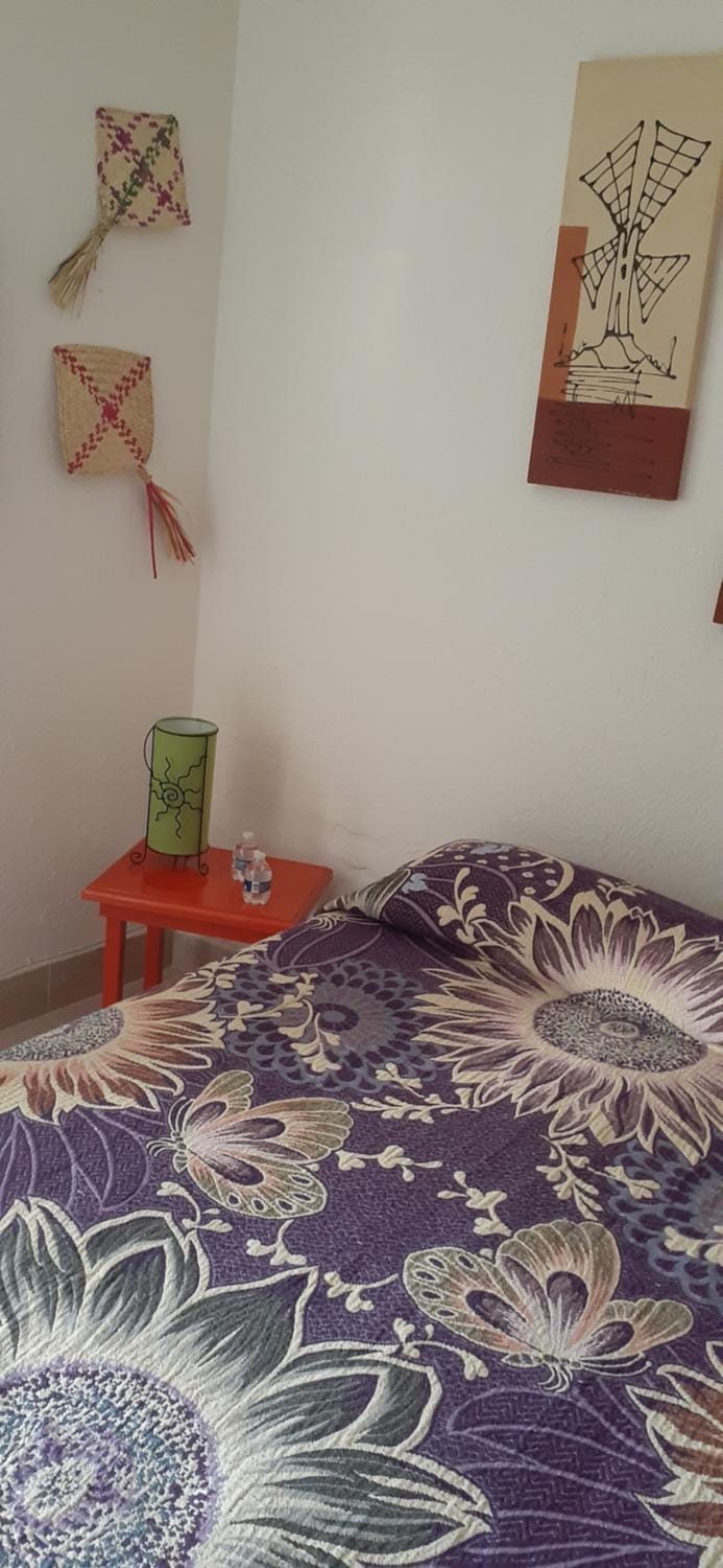 Colibrí B&B Bed and Breakfast in Mexico City