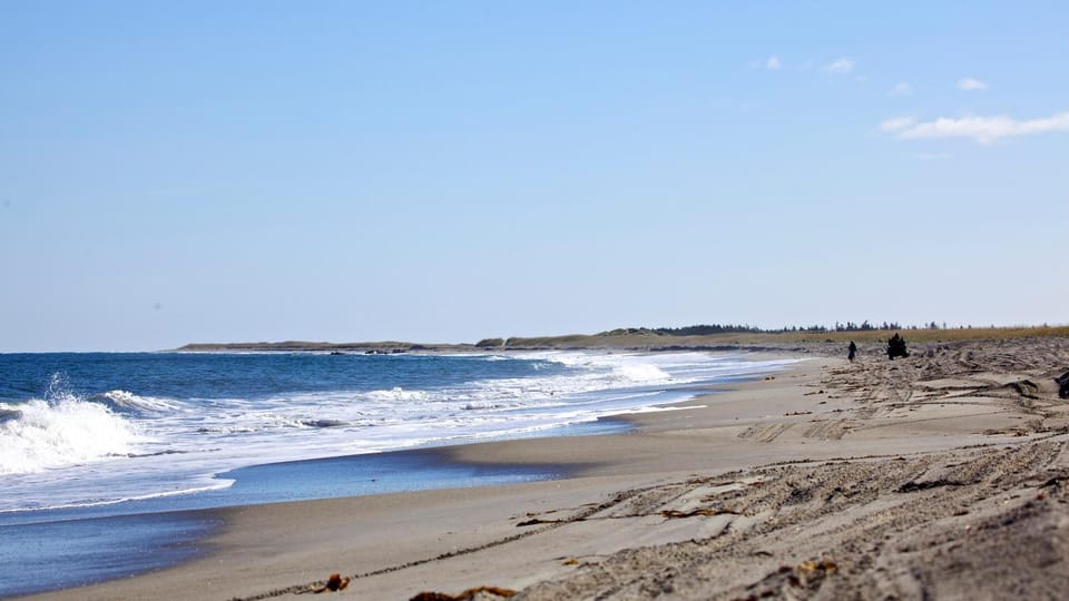 Natural landscape, Beach, Beach, Sea view