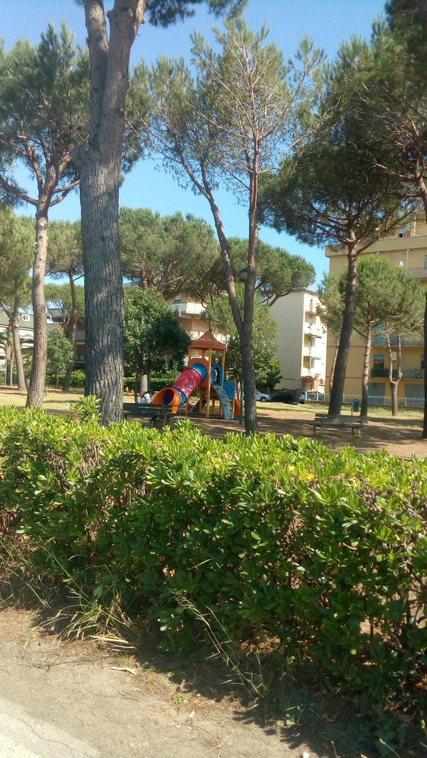 Children play ground