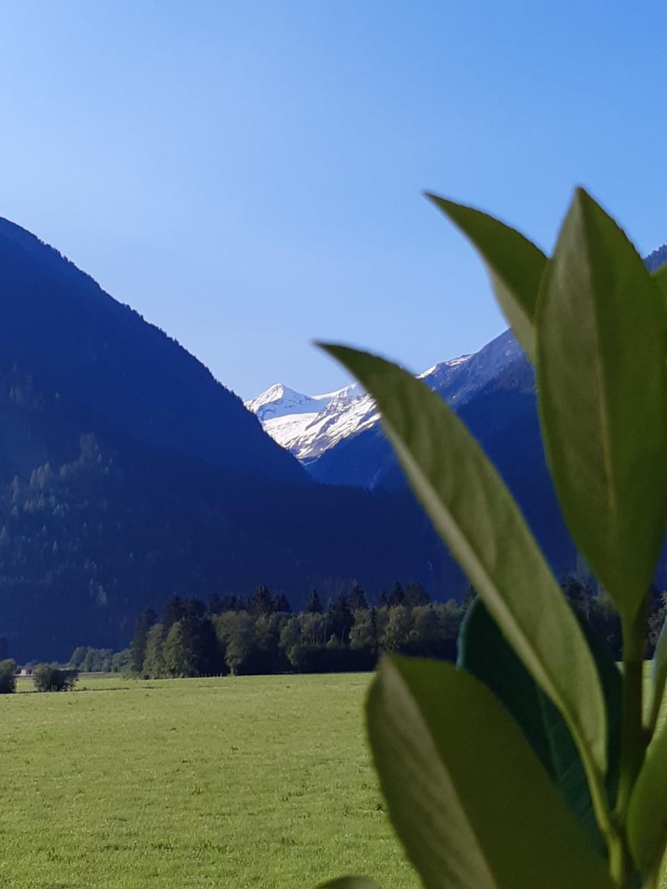 Mountain view