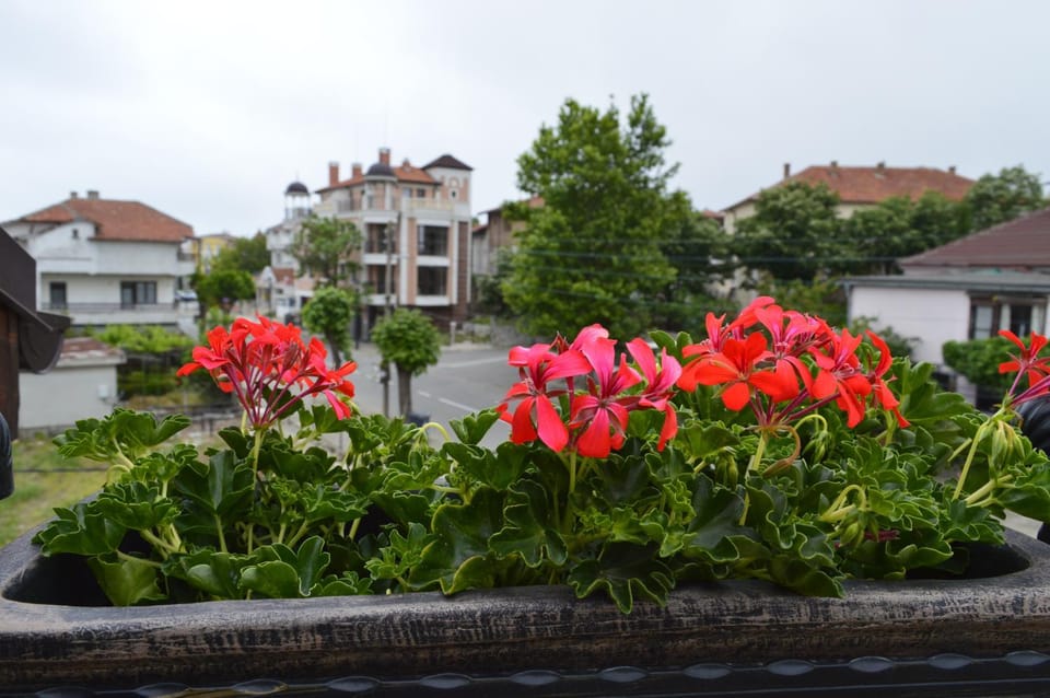 Apartments Dona Apartment in Burgas Province