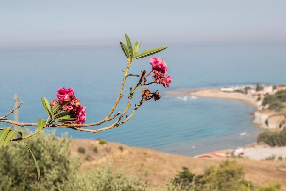 Day, Natural landscape