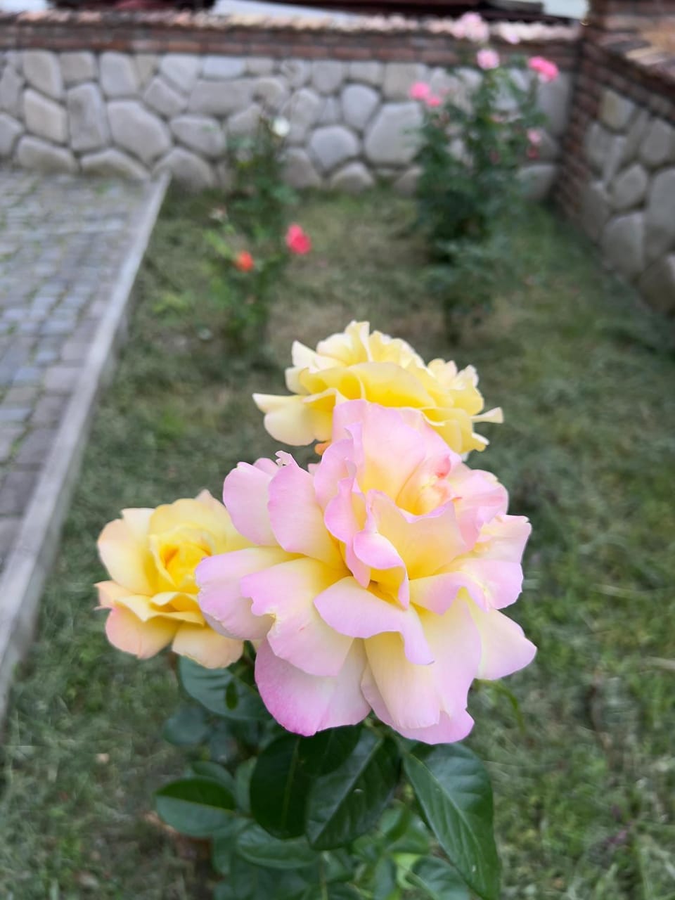 Tsminda Giorgi Apartment Bed and Breakfast in Georgia