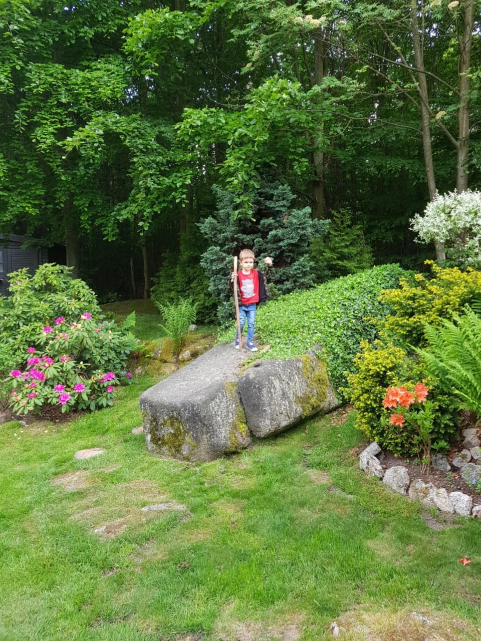 Natural landscape, Garden, Garden, Garden view