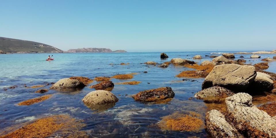 Beach, Sea view