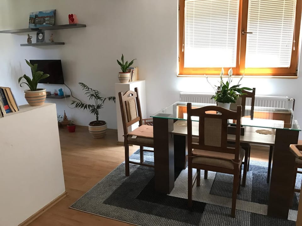 Apartment near the Airport Apartment in Sarajevo