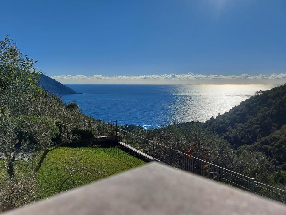 View (from property/room), Garden view