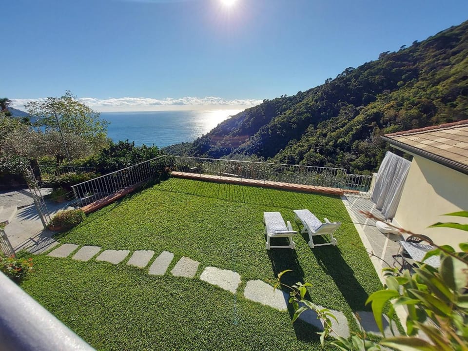 Garden, Sea view