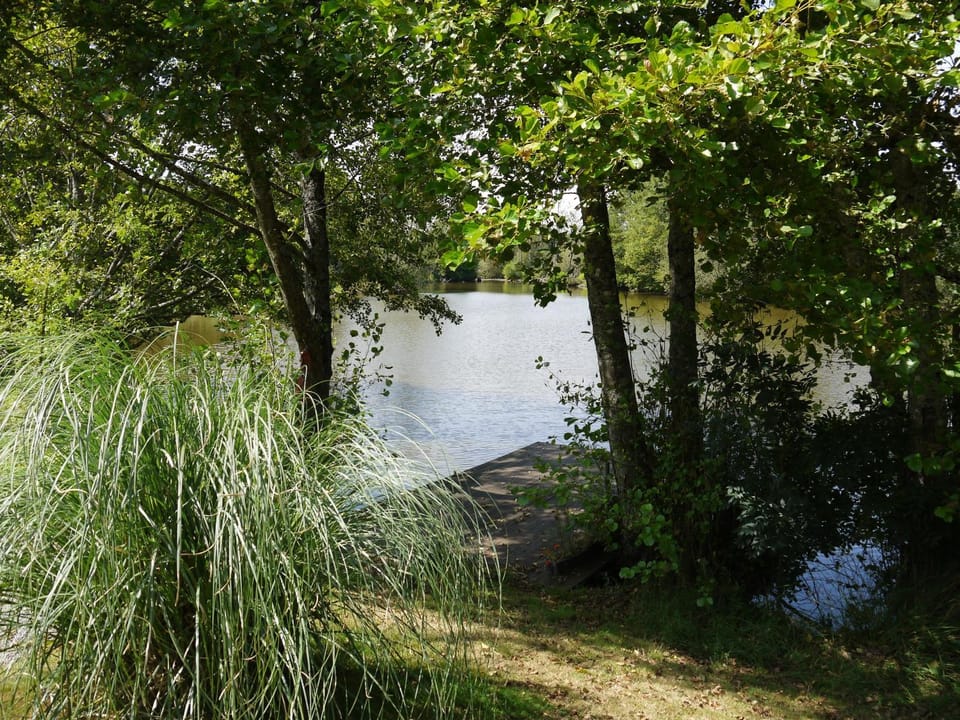 Natural landscape