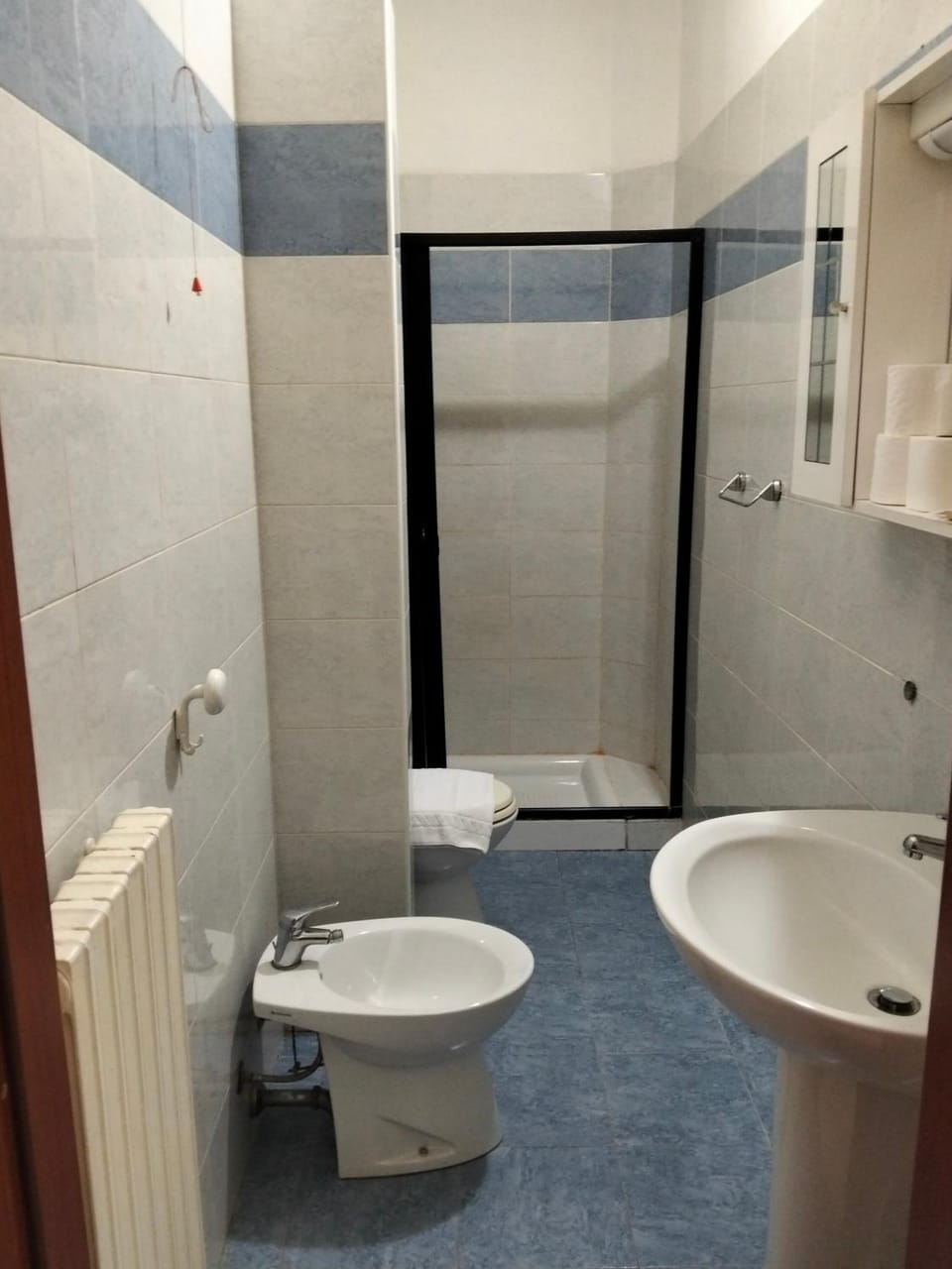 Shower, Toilet, Bathroom, bidet, towels
