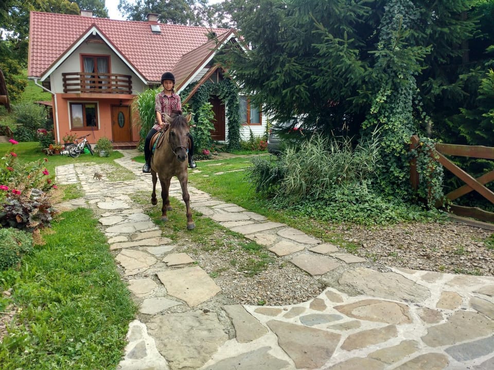 Horse-riding