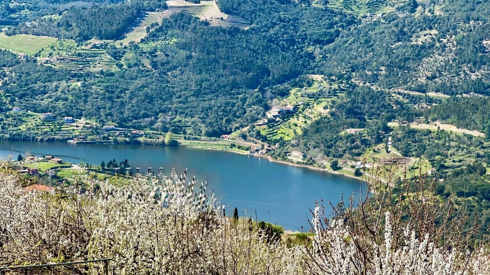 View (from property/room), View (from property/room), Lake view, Lake view