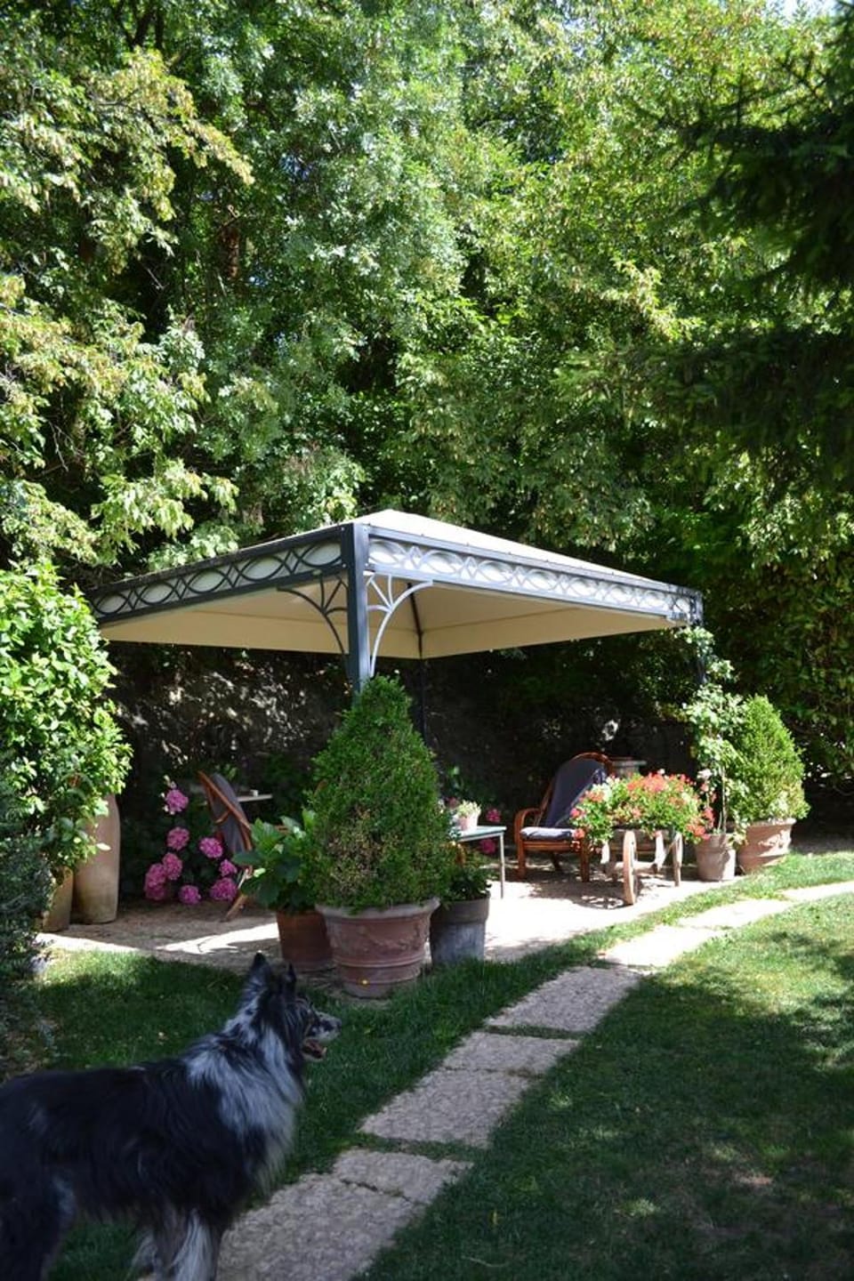 Patio, Garden