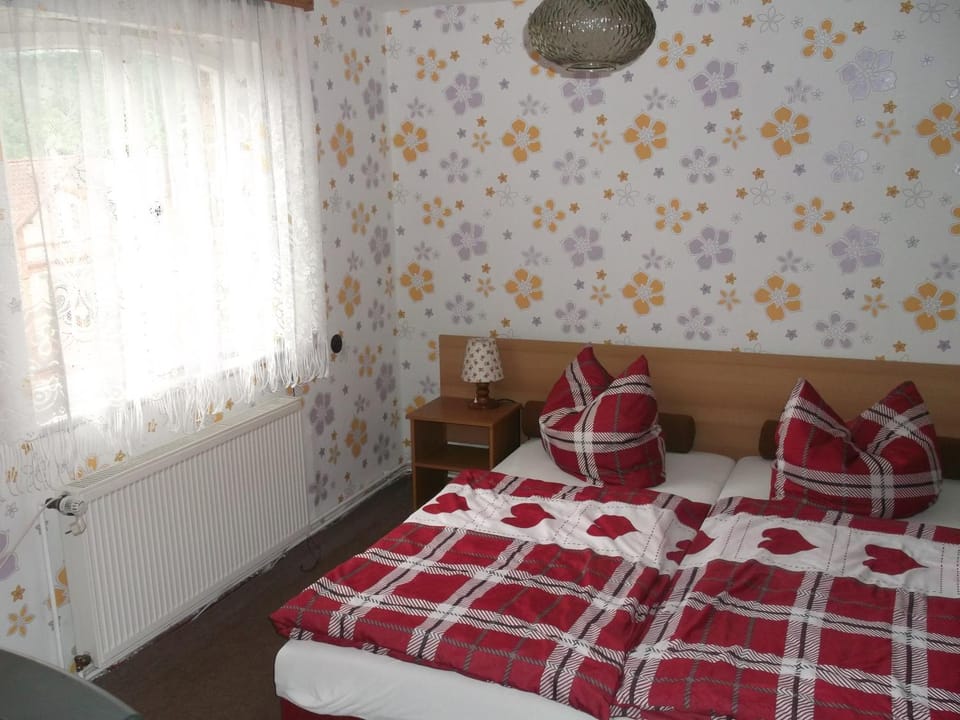 Pension und Ferienwohnung Christine Kilian Bed and Breakfast in Eisenach