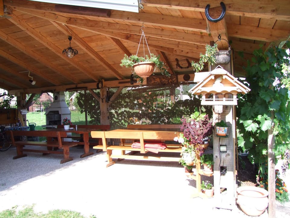 Patio, Garden