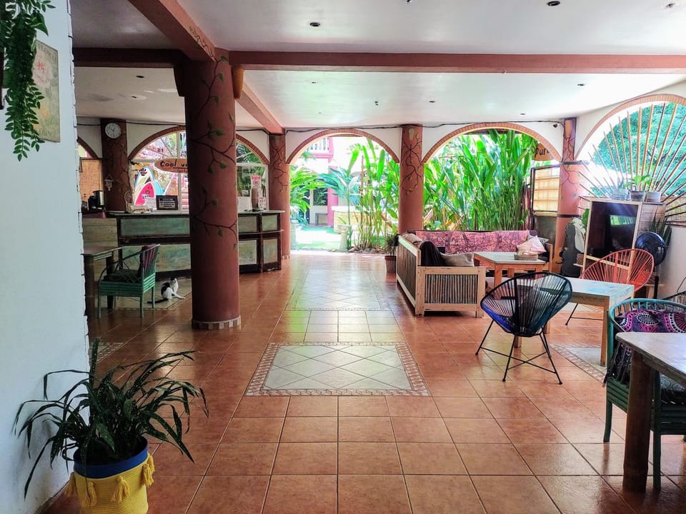 Cool Vibes Beach Hostel Hostel in Dominical